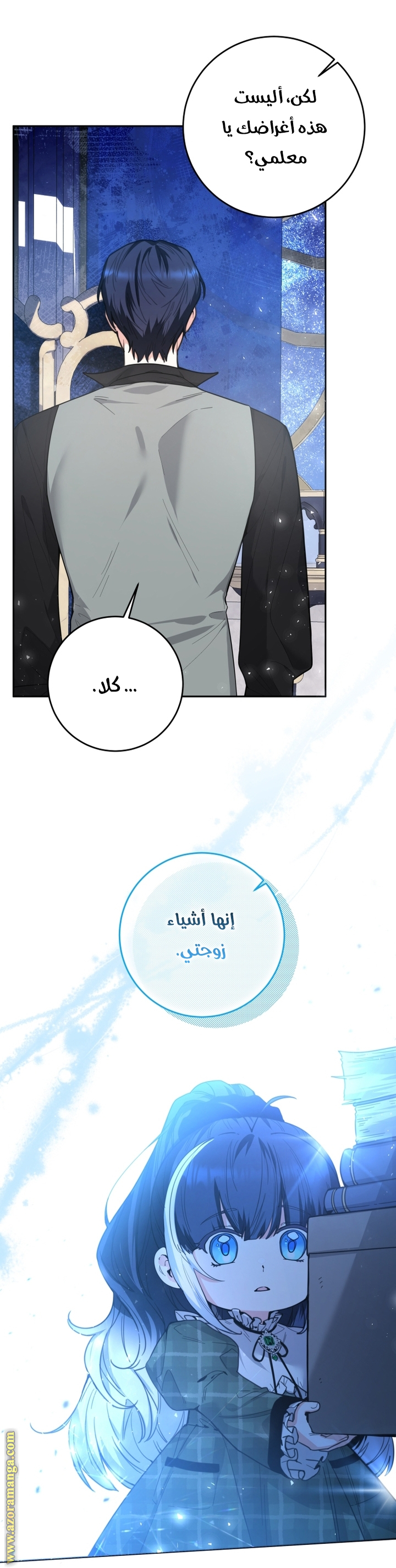 الصفحة 17