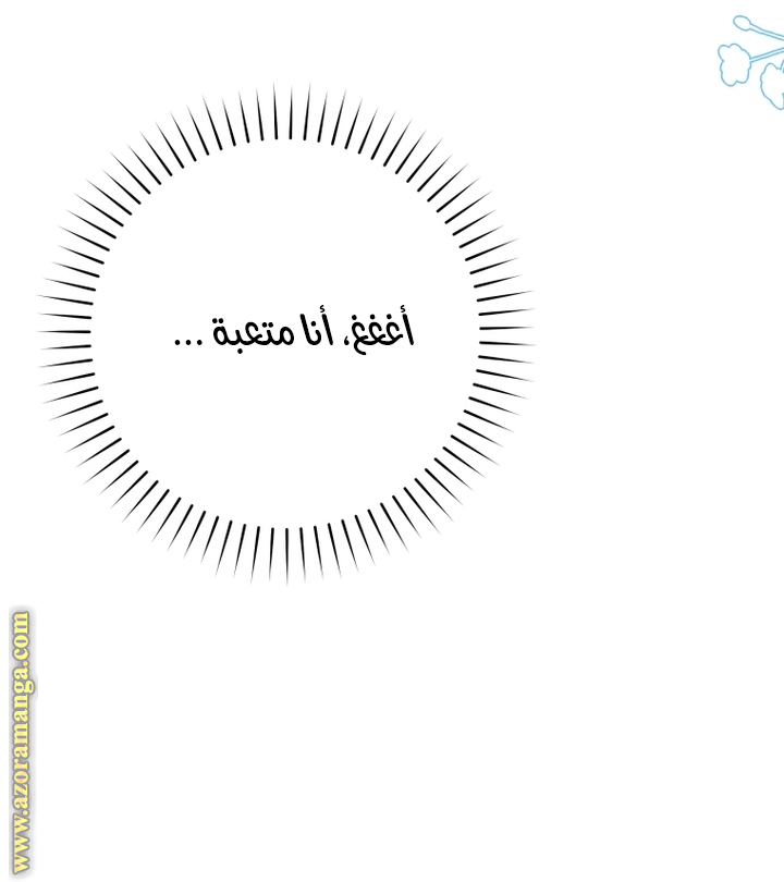 الصفحة 28