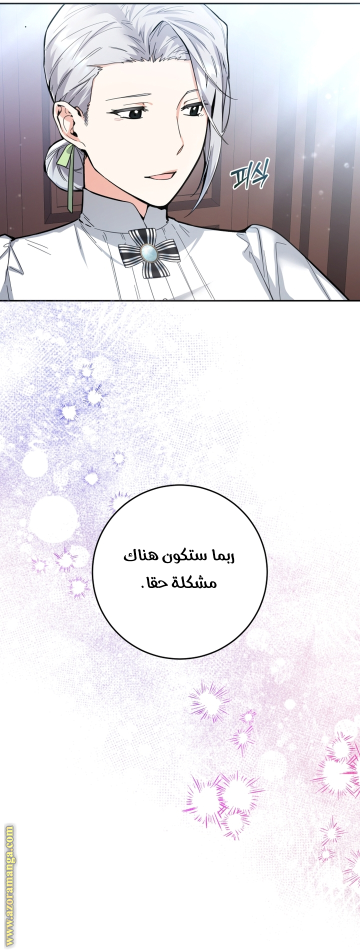 الصفحة 48