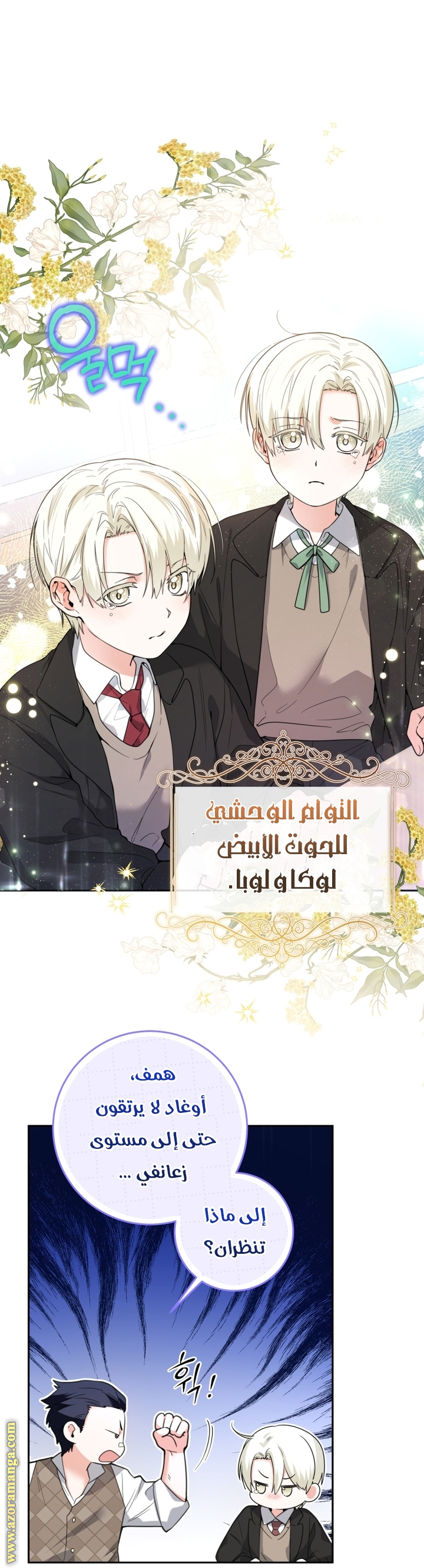 الصفحة 55