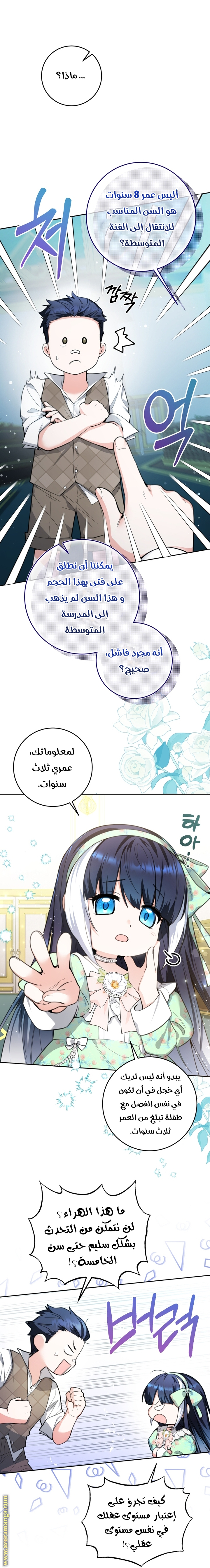 الصفحة 13
