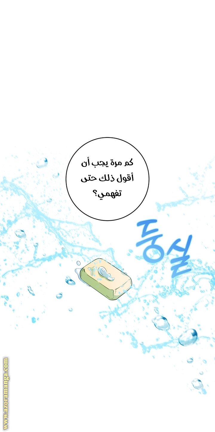 الصفحة 43
