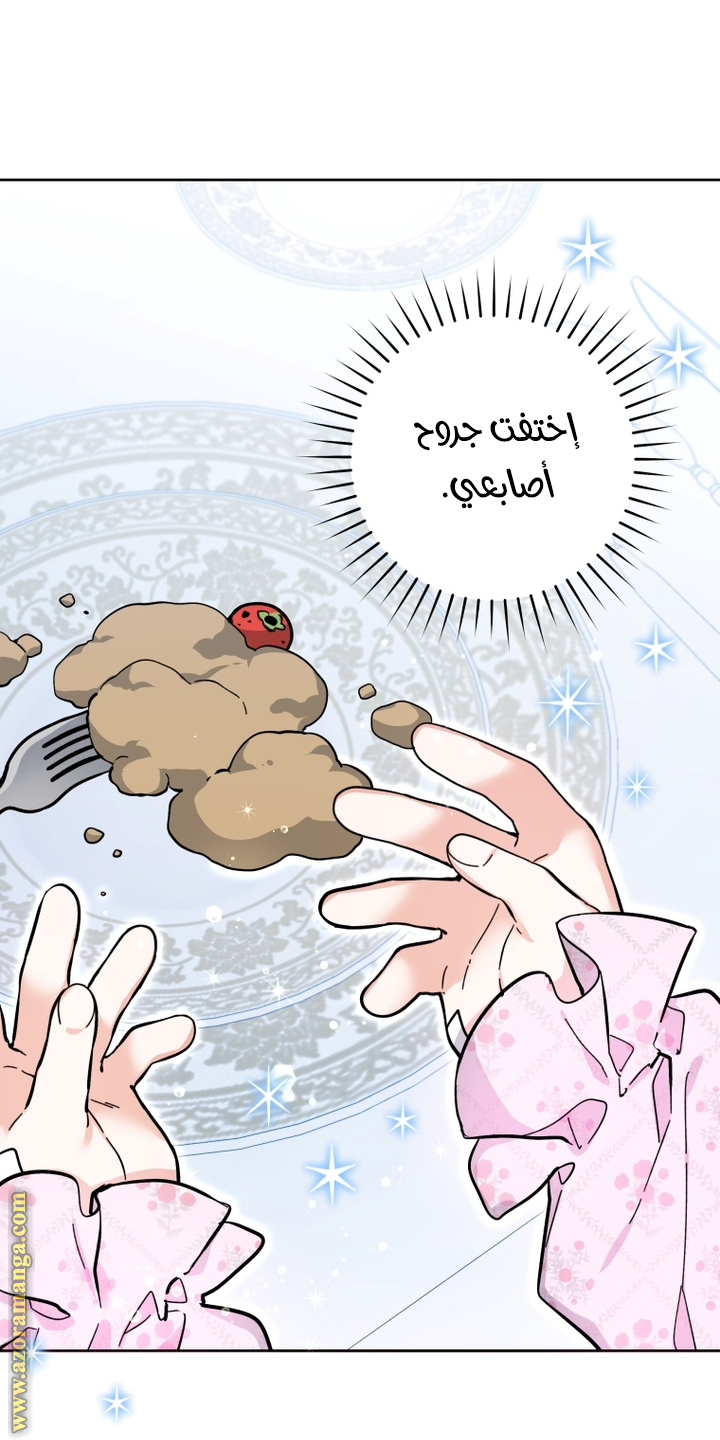 الصفحة 19