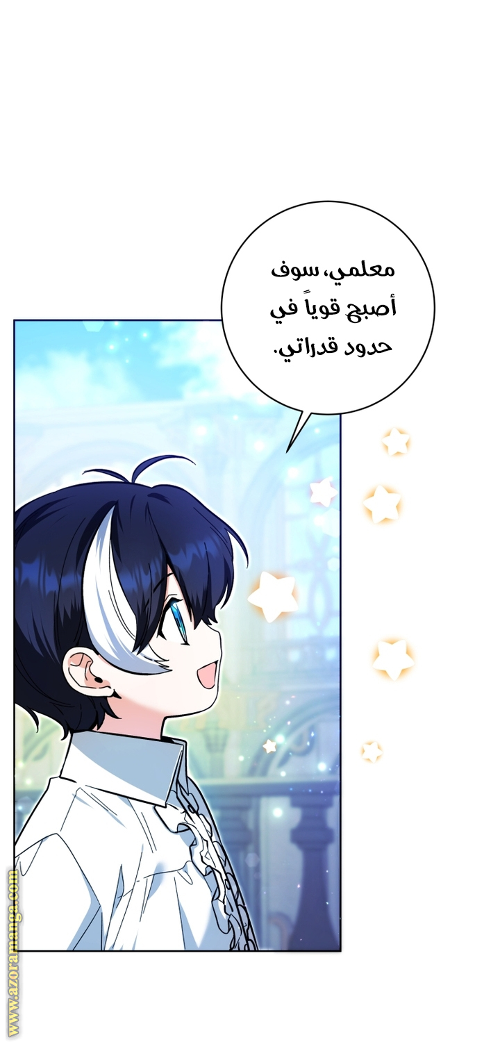 الصفحة 43