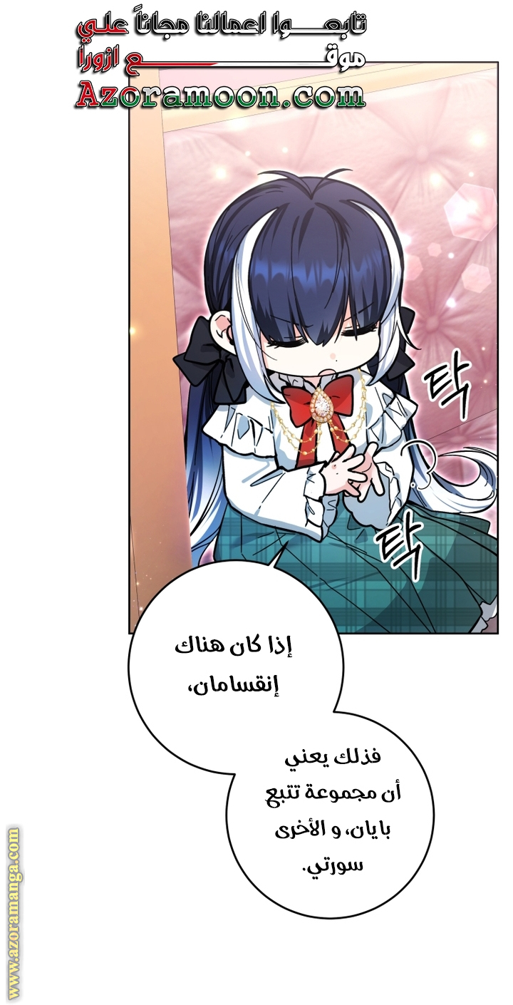 الصفحة 28