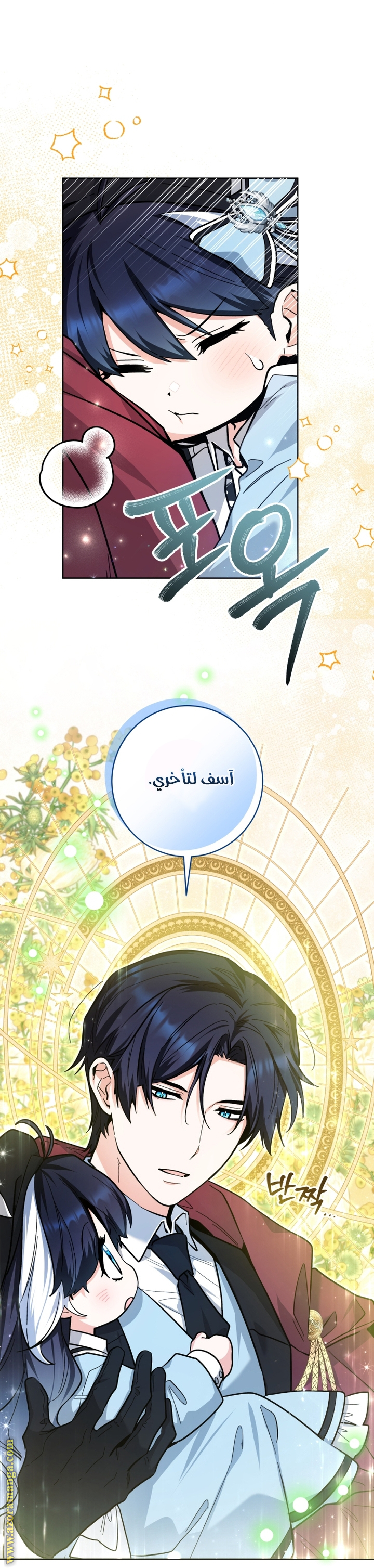 الصفحة 11