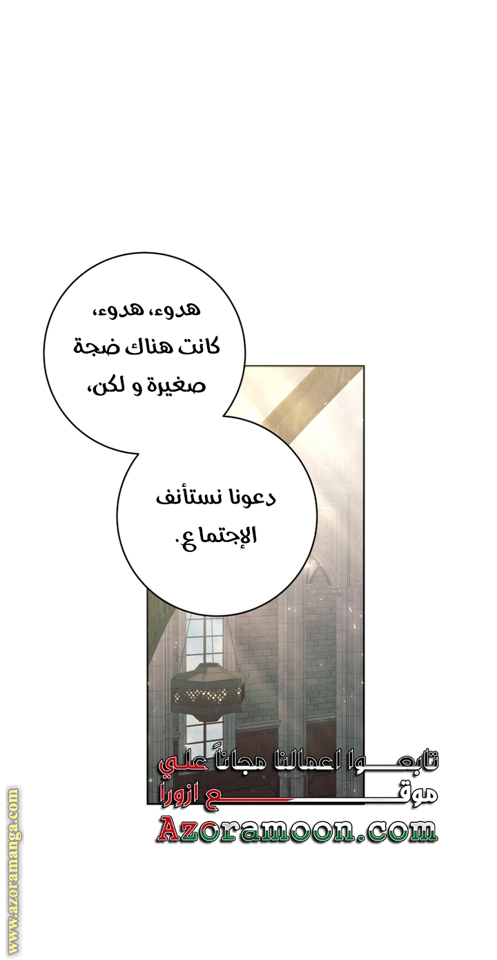الصفحة 31