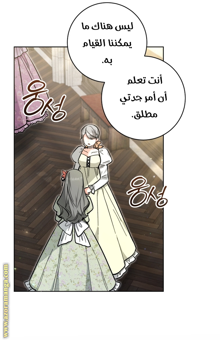 الصفحة 42