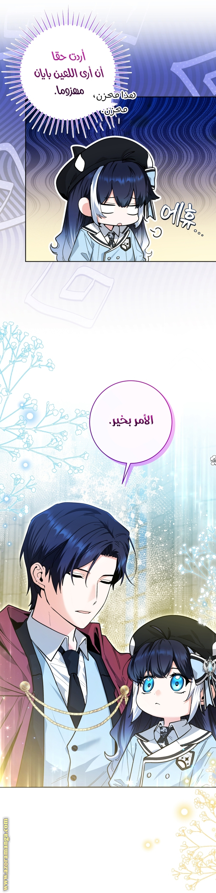 الصفحة 43