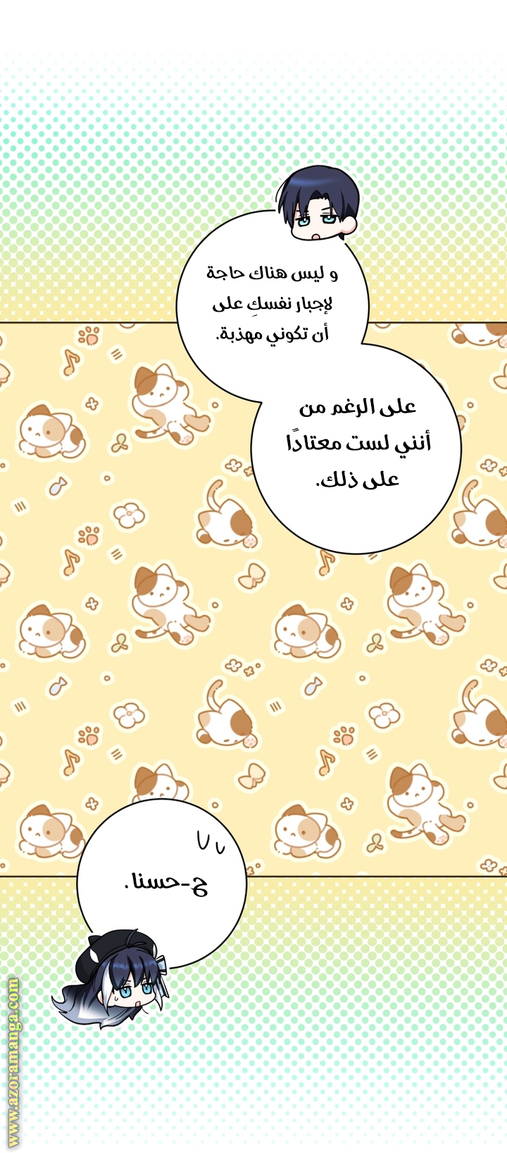 الصفحة 46