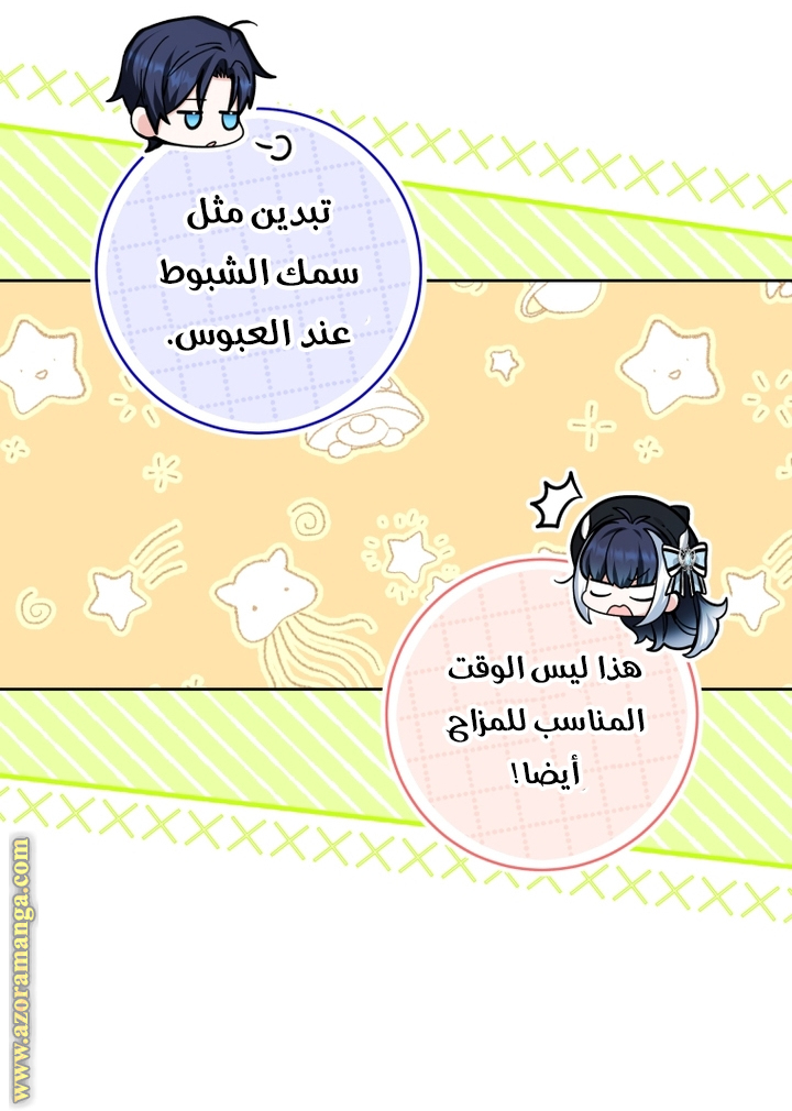الصفحة 28