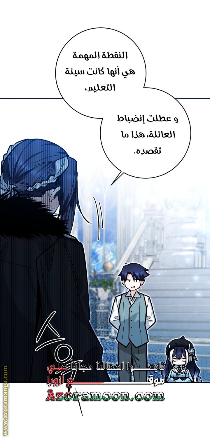 الصفحة 17