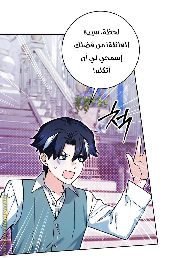 الصفحة 41