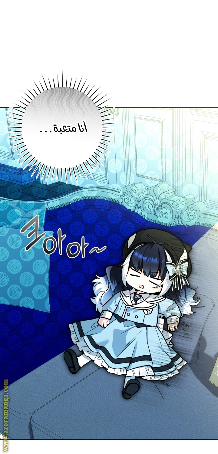 الصفحة 17