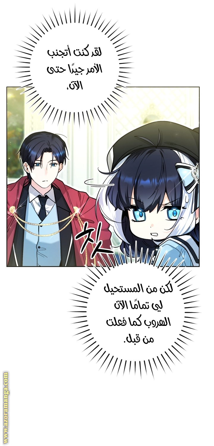 الصفحة 21
