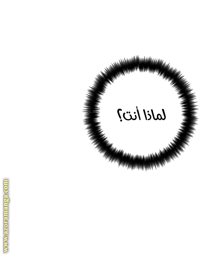 الصفحة 35