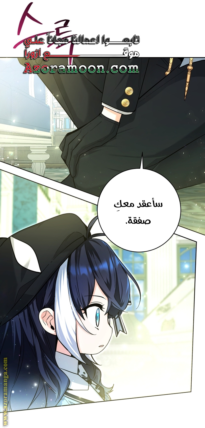 الصفحة 41