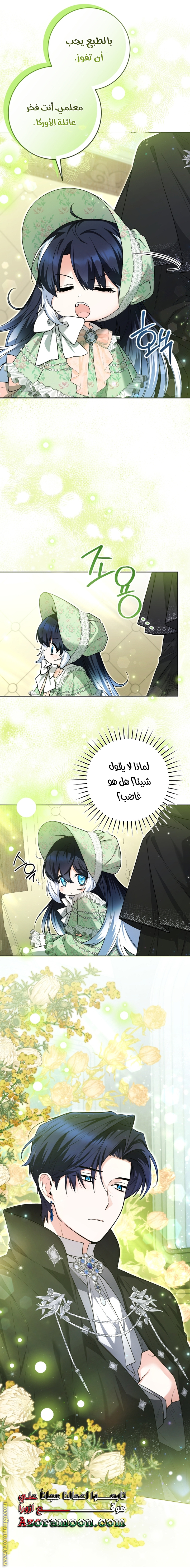 الصفحة 27