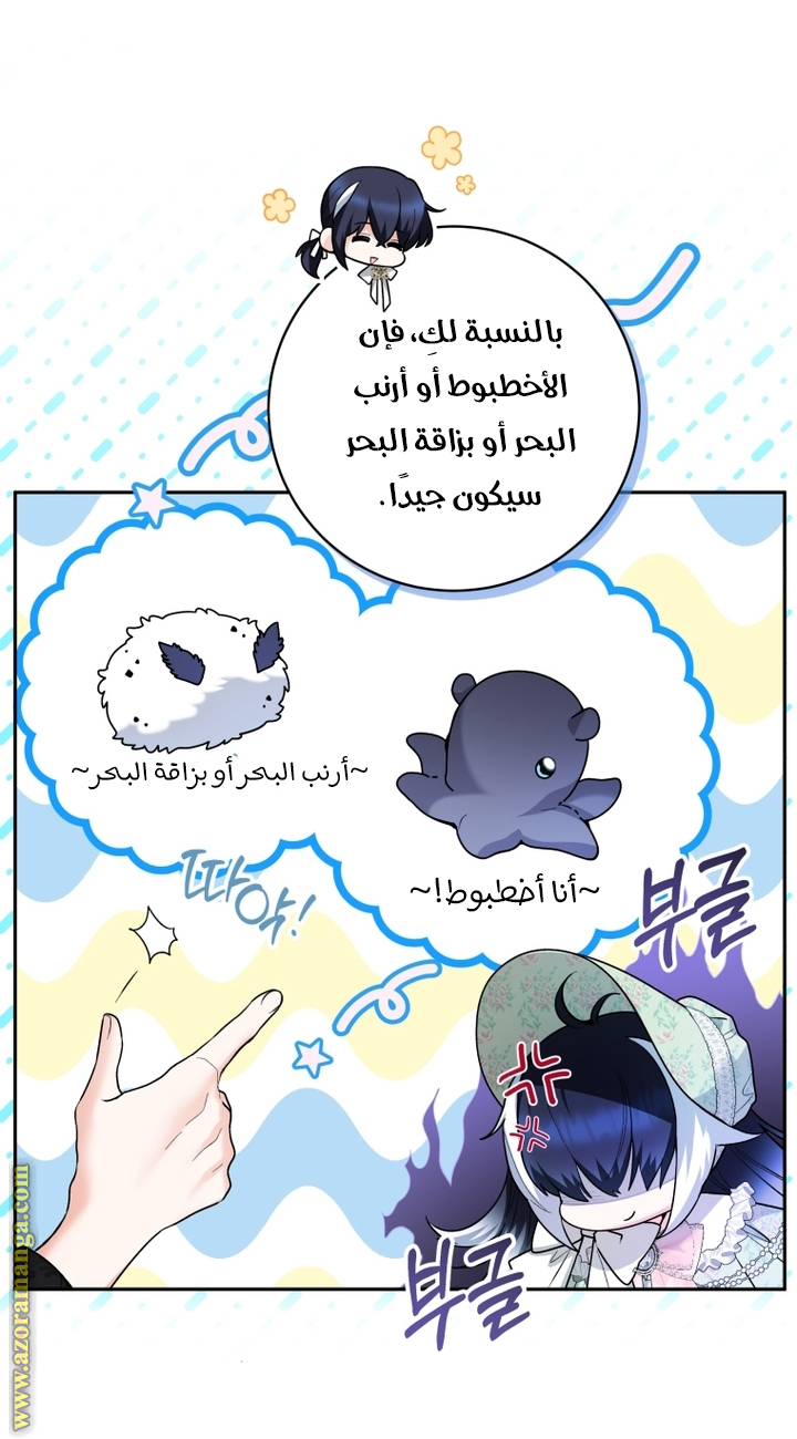 الصفحة 34
