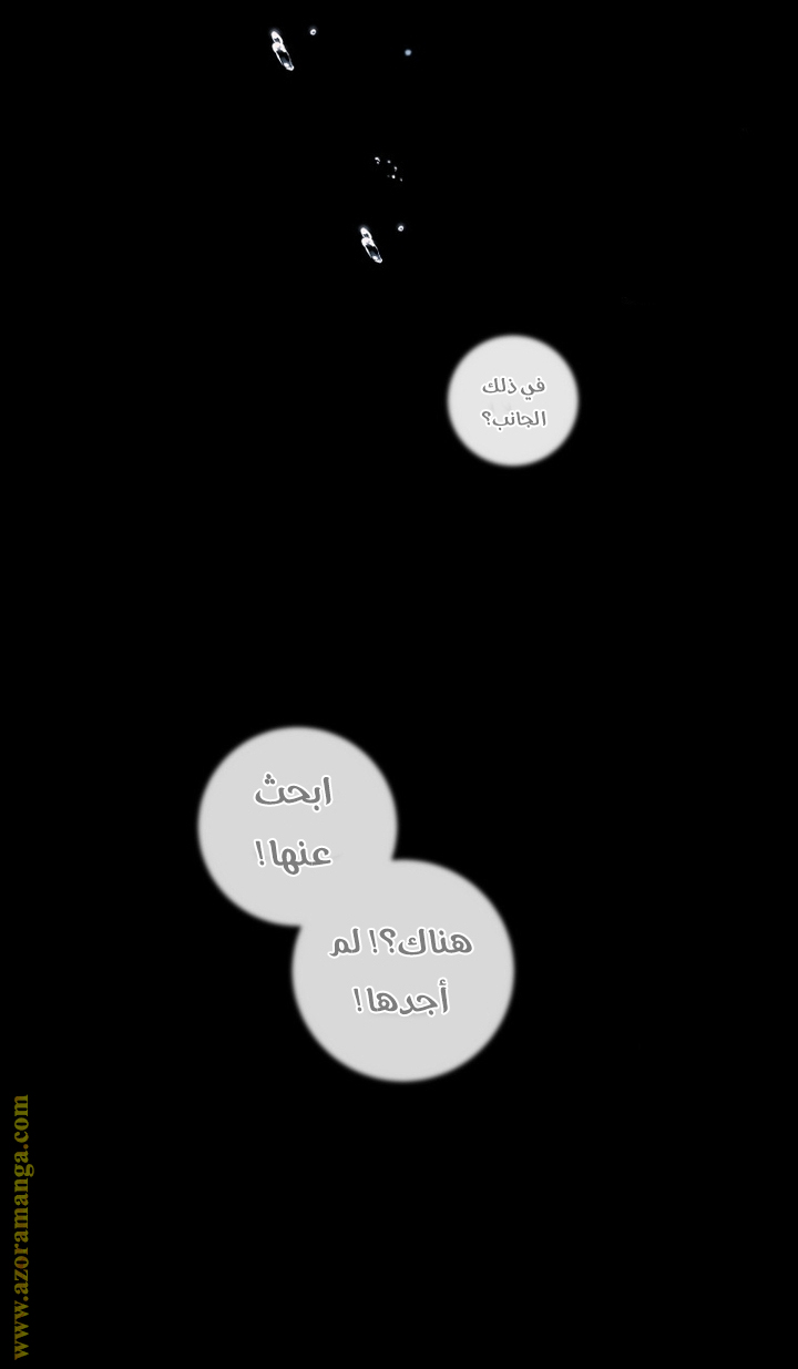 الصفحة 41