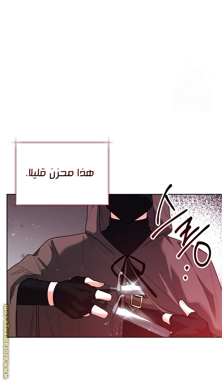 الصفحة 37