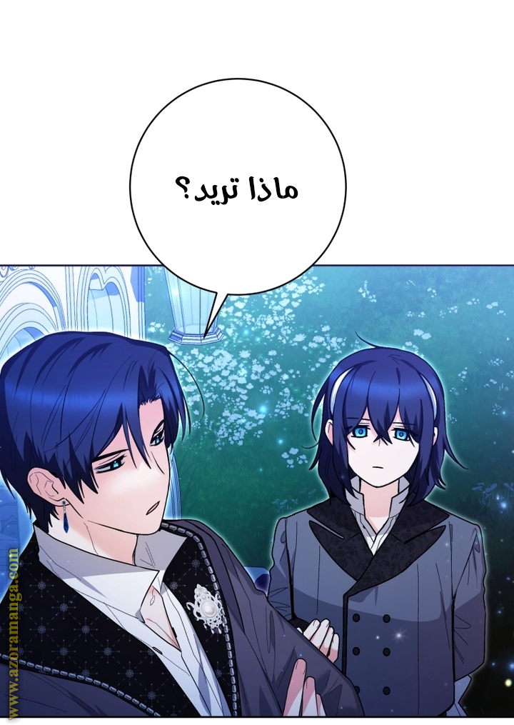 الصفحة 40