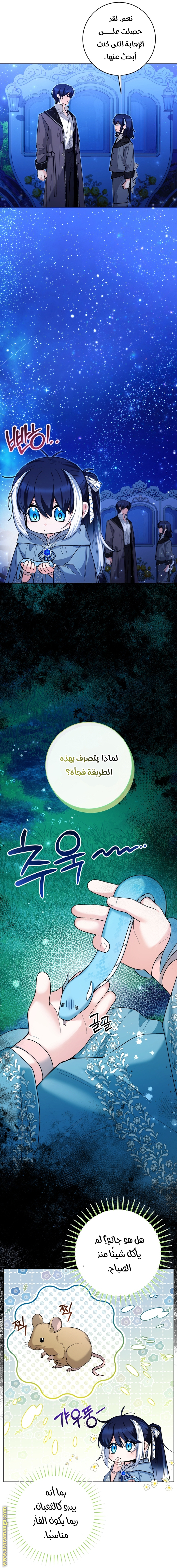 الصفحة 3