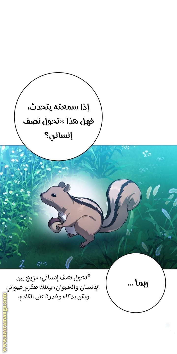 الصفحة 22
