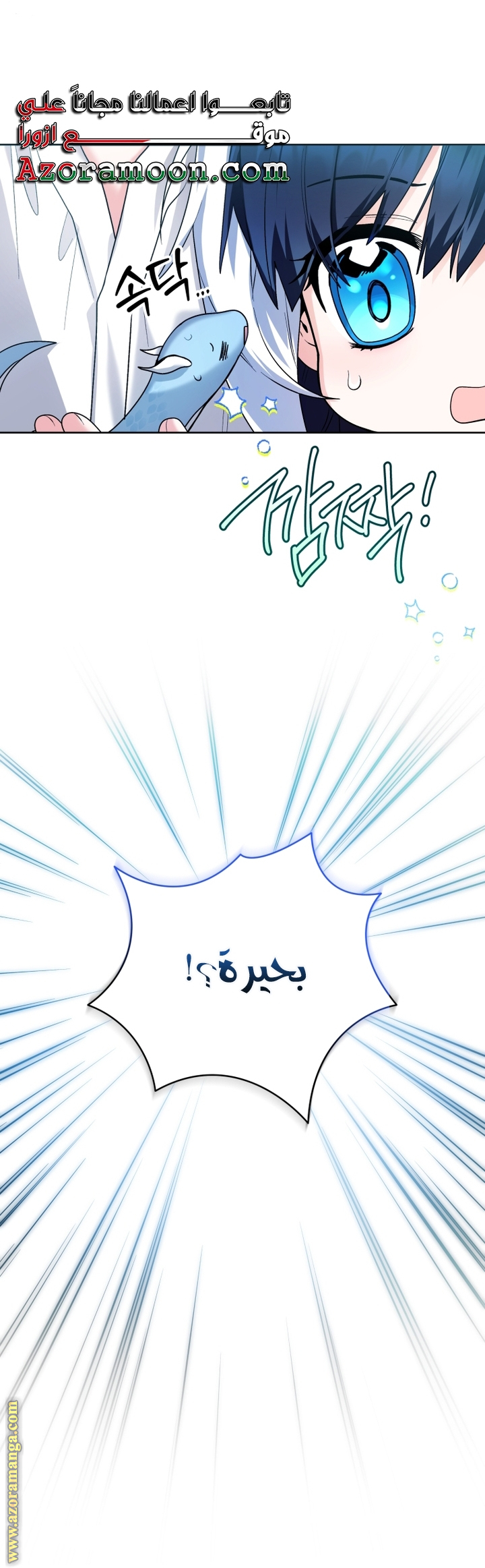 الصفحة 24