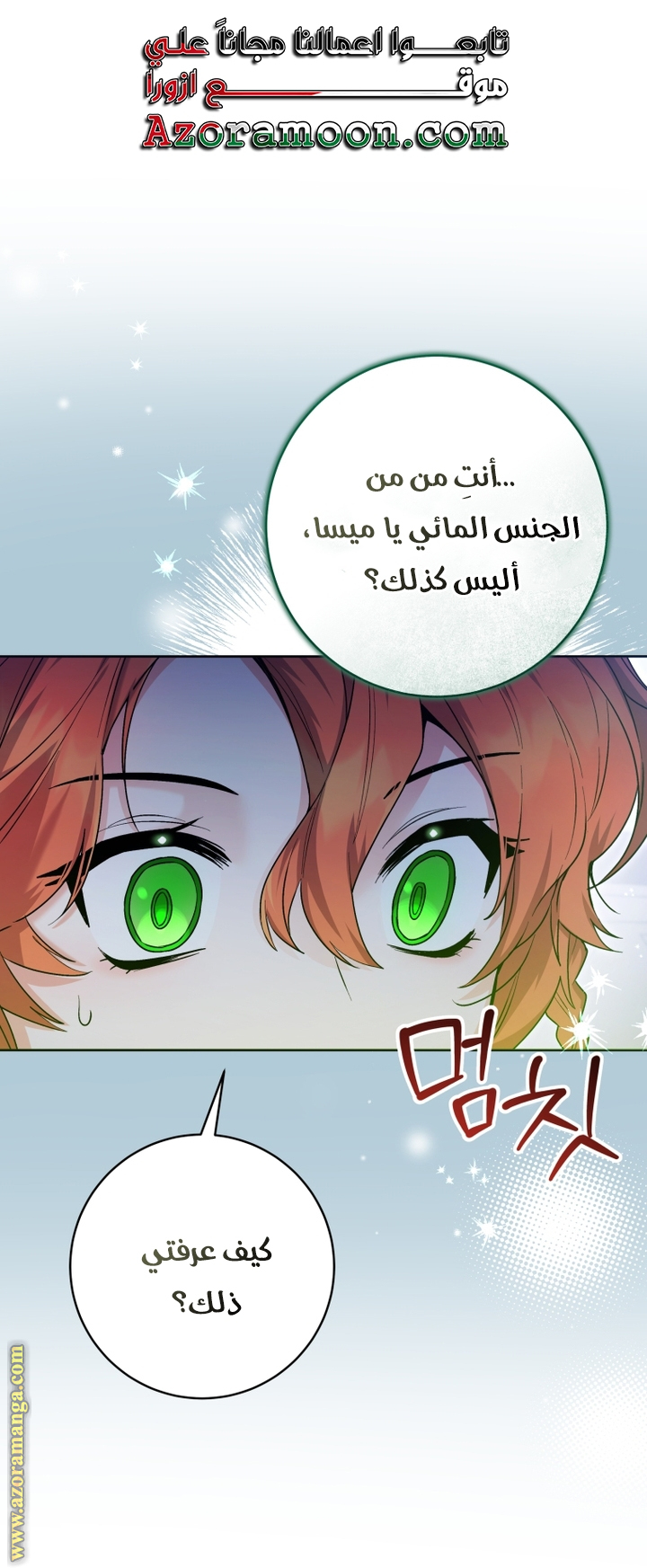 الصفحة 32