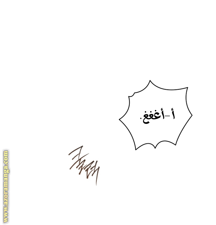الصفحة 26