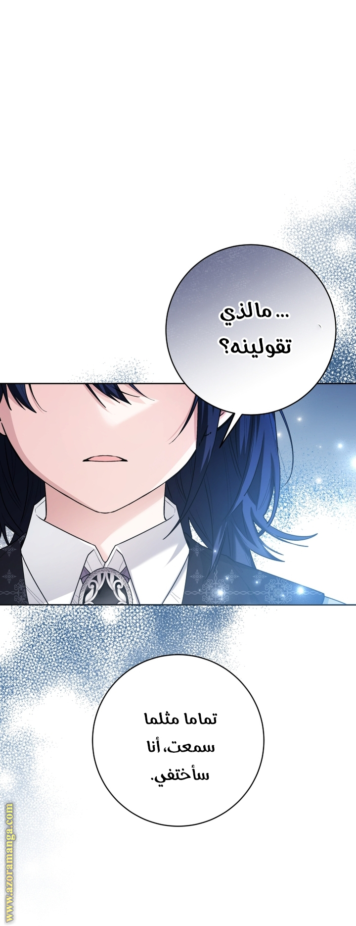 الصفحة 27