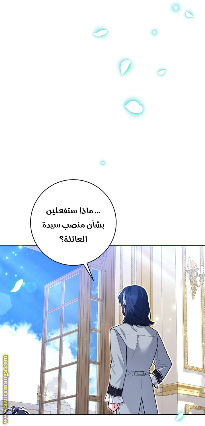 الصفحة 29