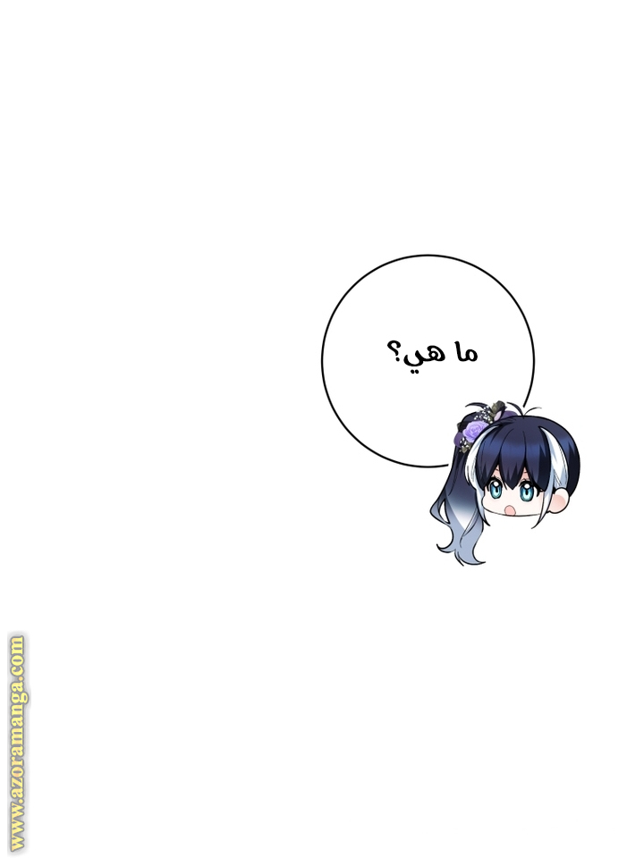 الصفحة 37
