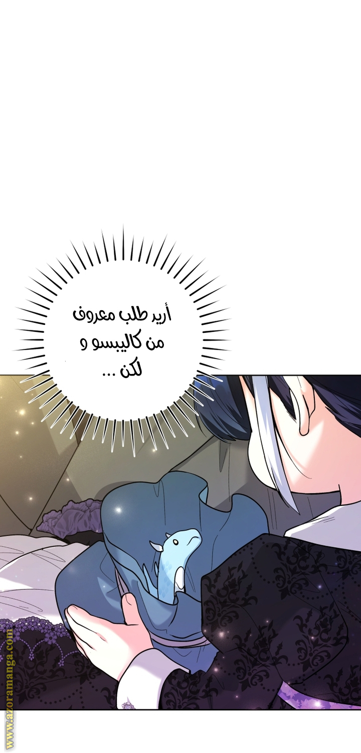 الصفحة 48