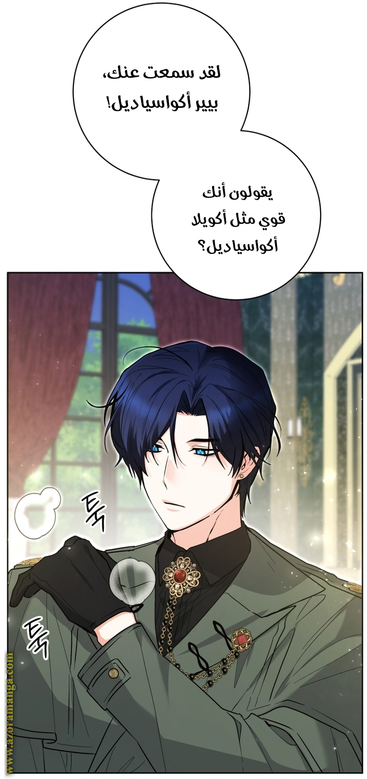 الصفحة 21