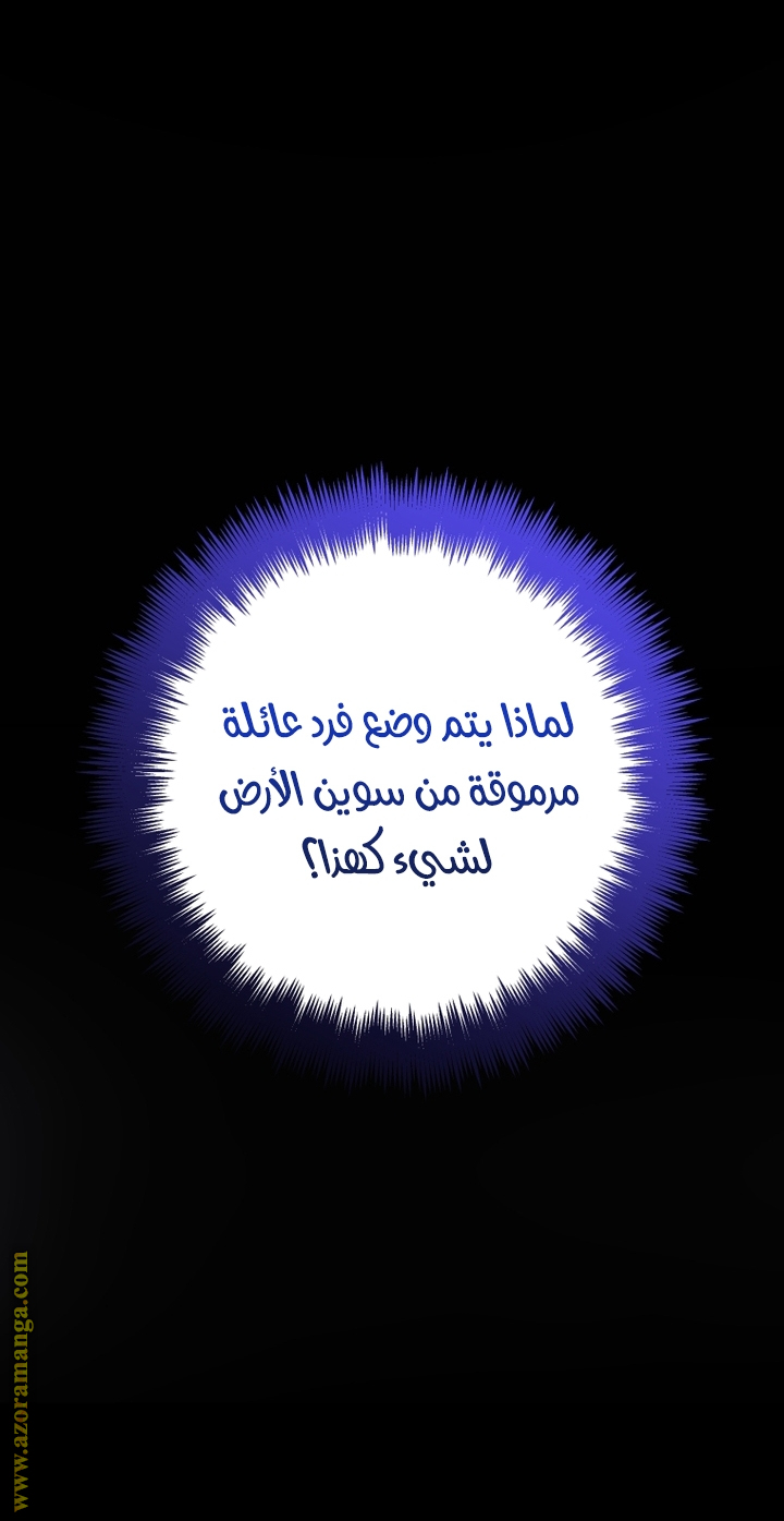 الصفحة 43