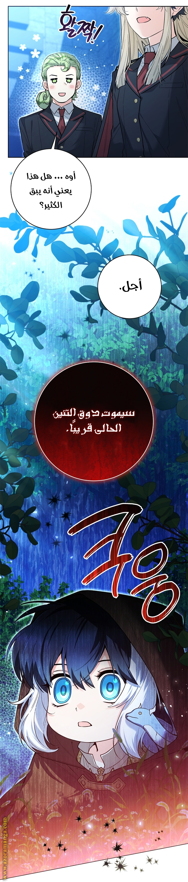 الصفحة 5