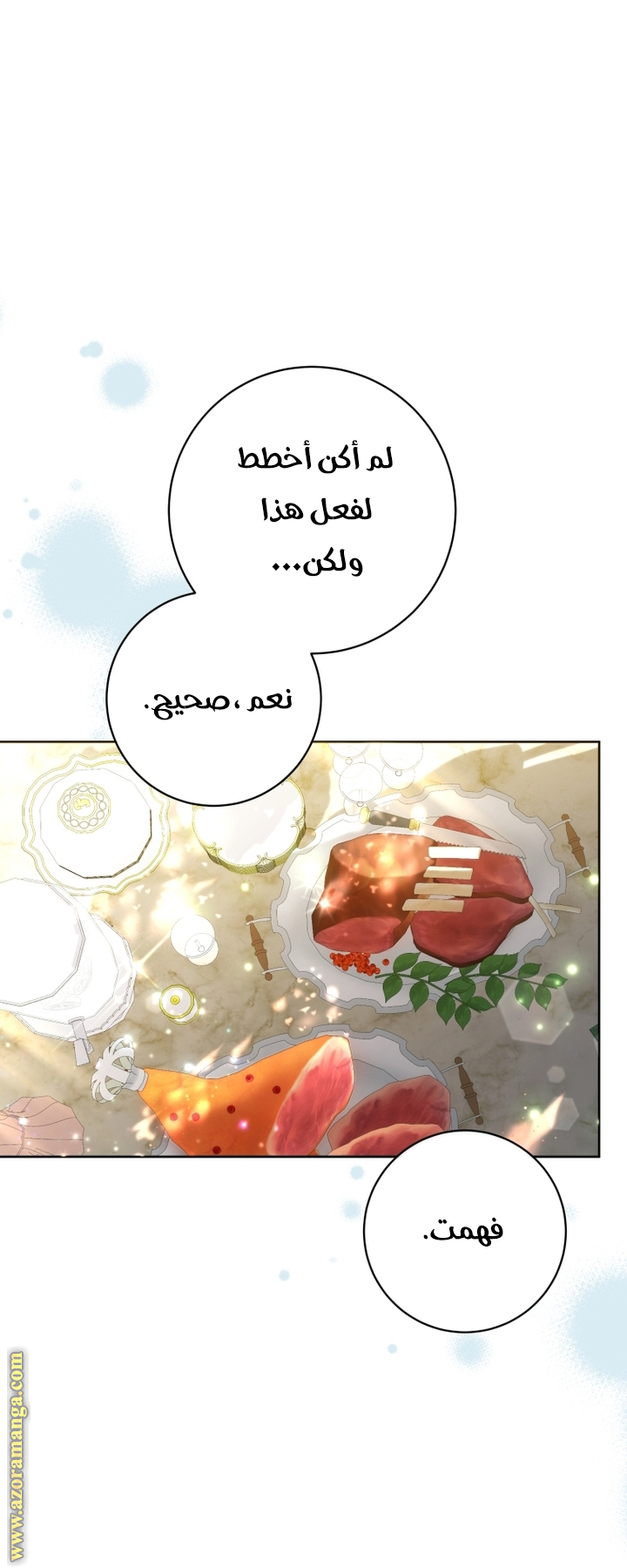 الصفحة 29