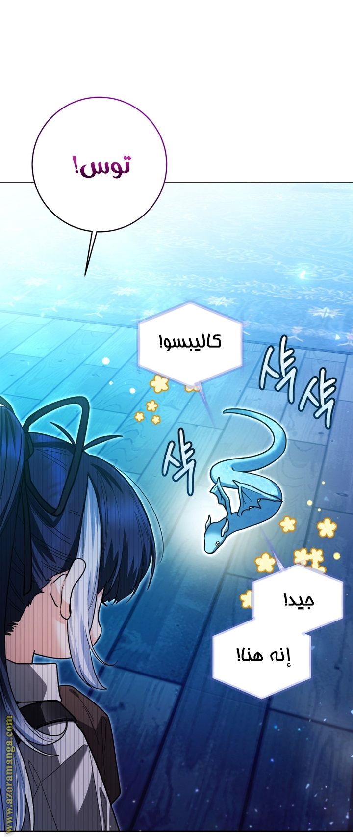 الصفحة 13