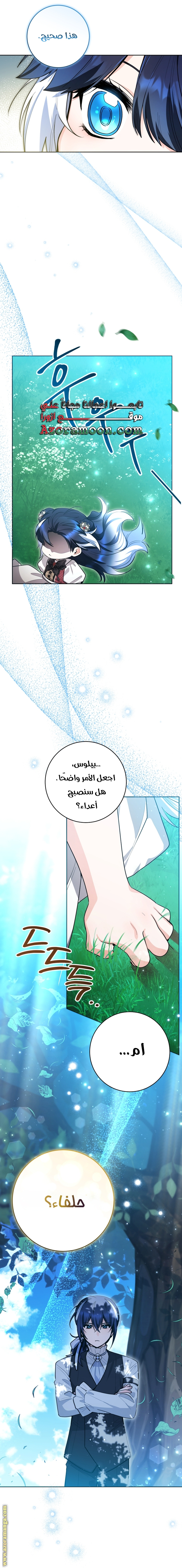 الصفحة 24