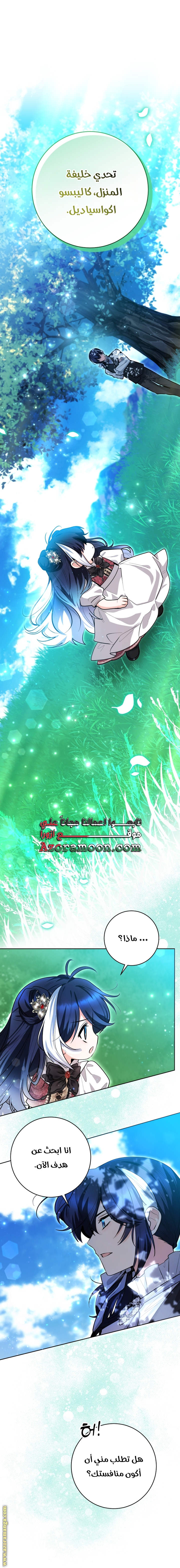 الصفحة 25