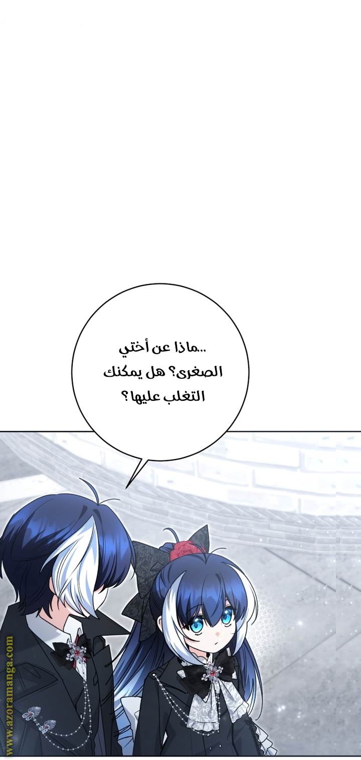 الصفحة 24