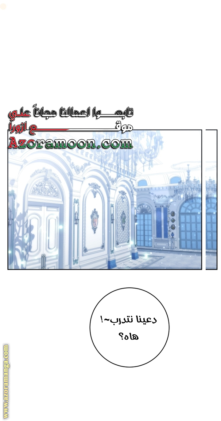 الصفحة 27