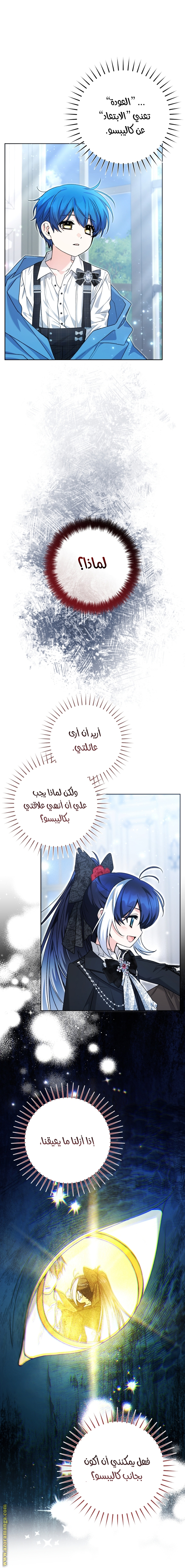 الصفحة 41