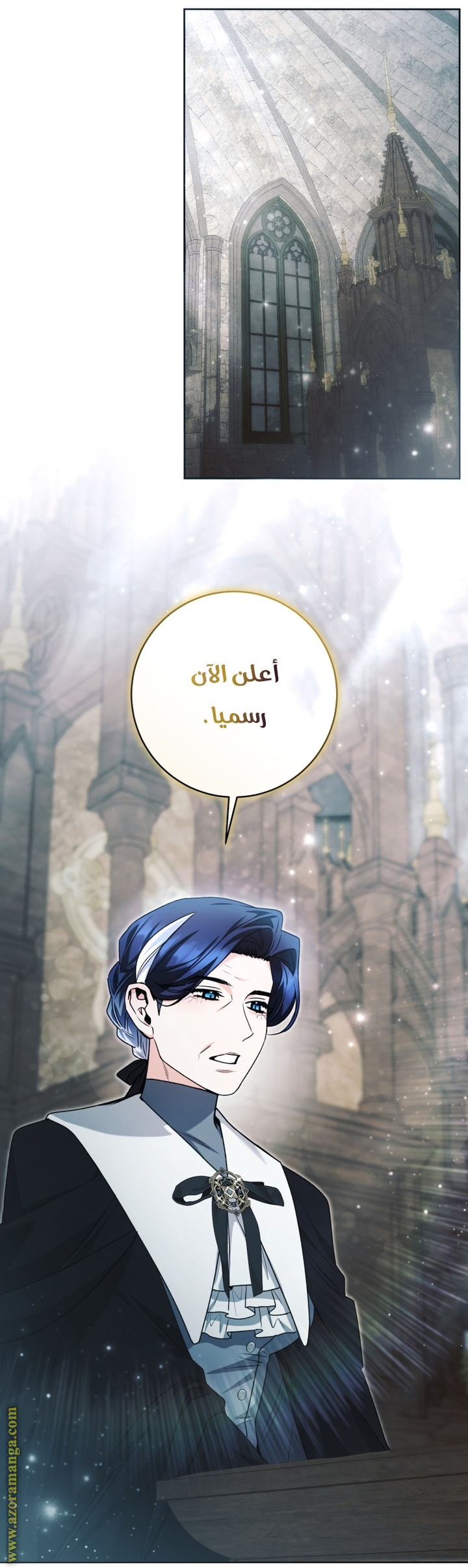 الصفحة 29