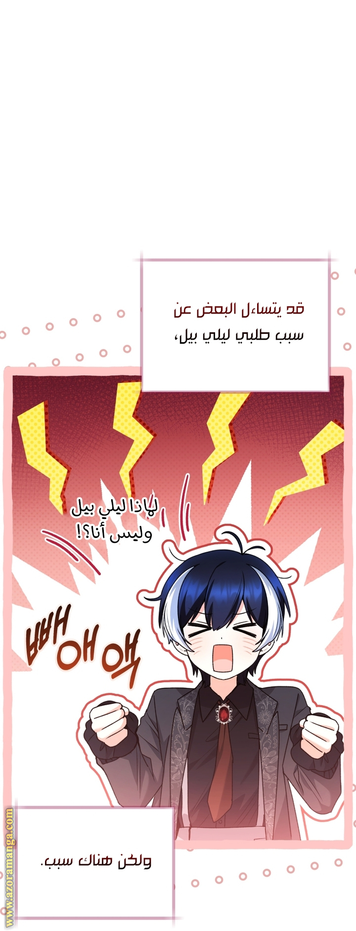 الصفحة 13