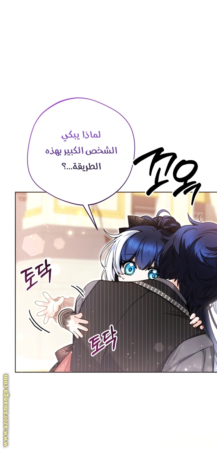 الصفحة 27
