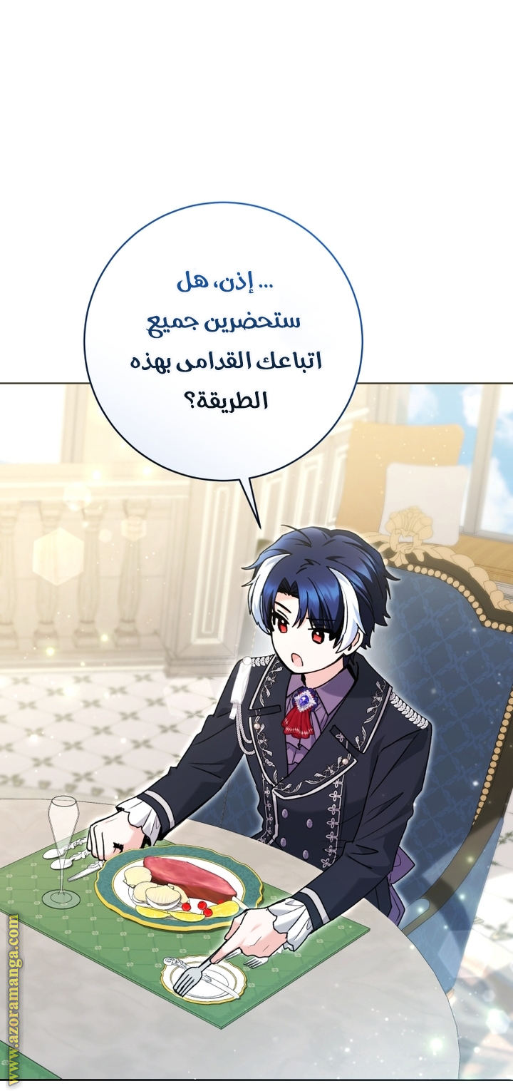 الصفحة 29