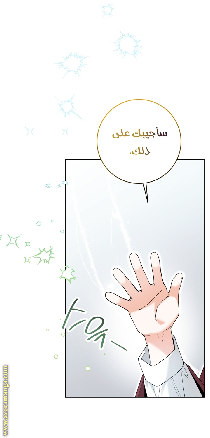 الصفحة 21